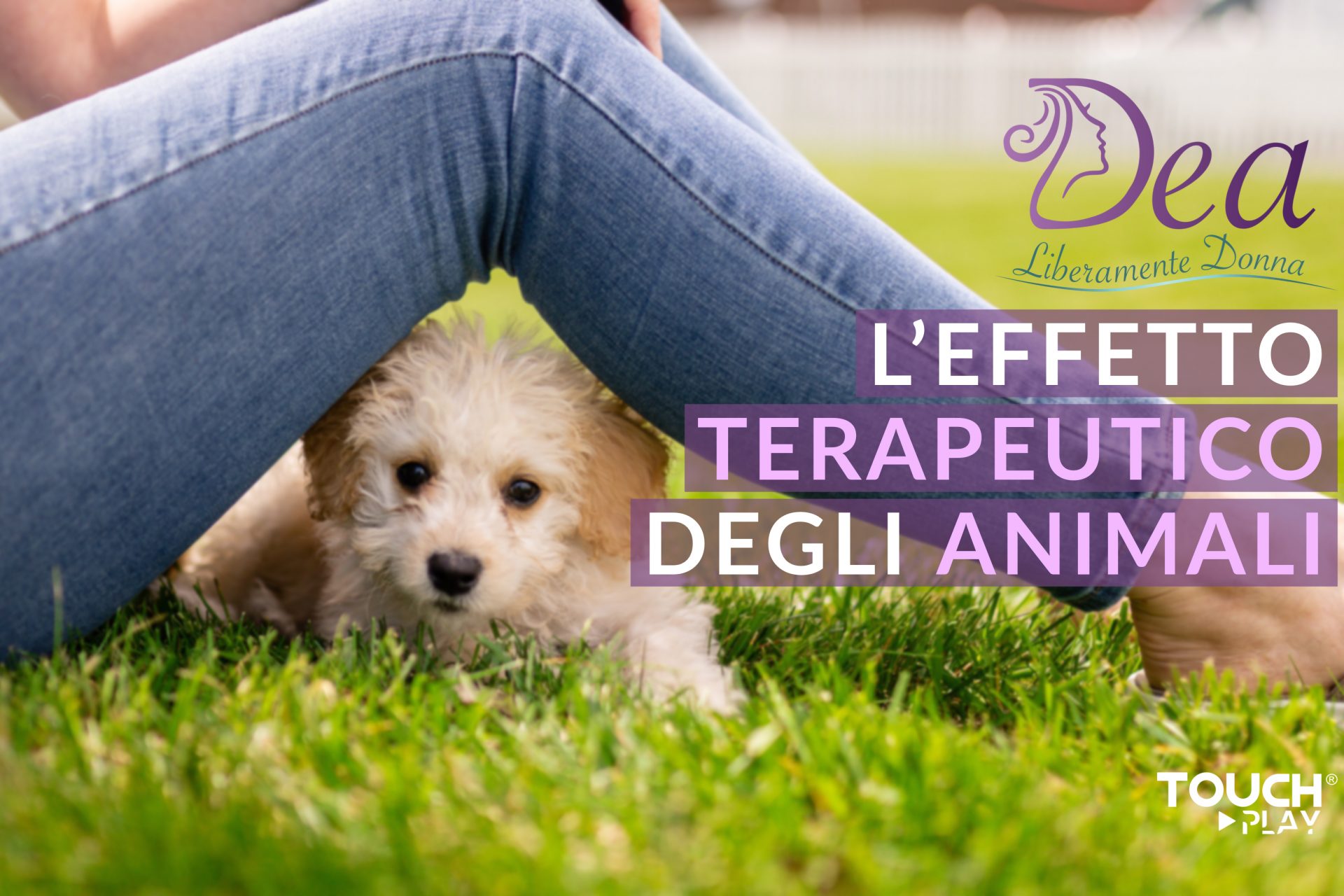 L’effetto terapeutico degli animali