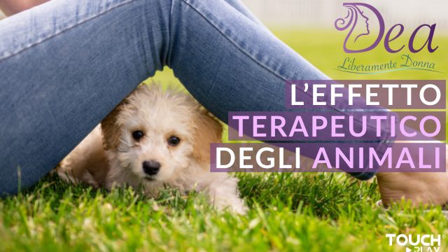 L’effetto terapeutico degli animali