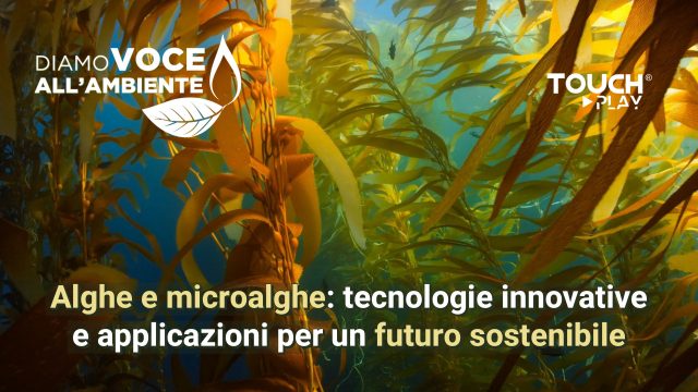 “Alghe e microalghe; tecnologie innovative e applicazioni per un futuro sostenibile”