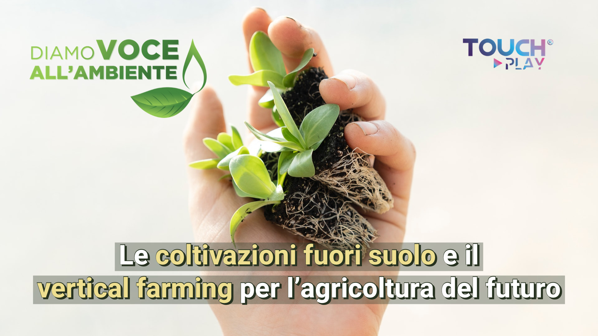 Le coltivazioni fuori suolo e il vertical farming per l’agricoltura del futuro