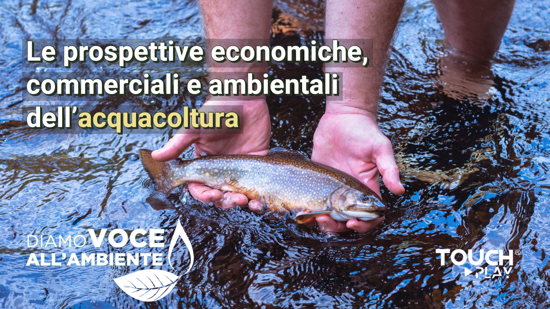 Le prospettive economiche, commerciali e ambientali dell’acquacoltura