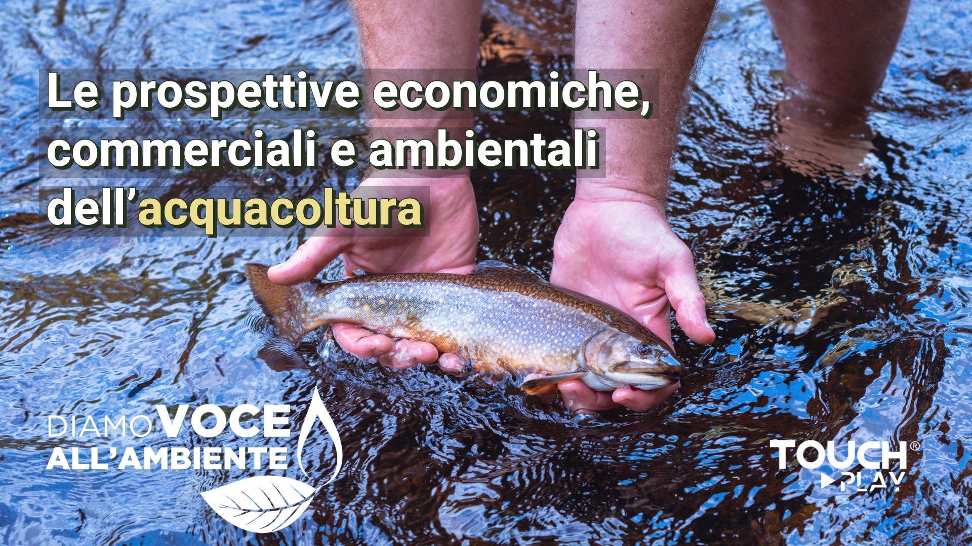 Le prospettive economiche, commerciali e ambientali dell’acquacoltura