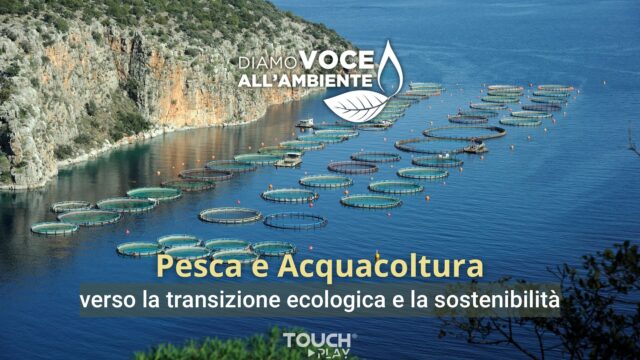 Pesca e Acquacoltura verso la transizione ecologica e la sostenibilità