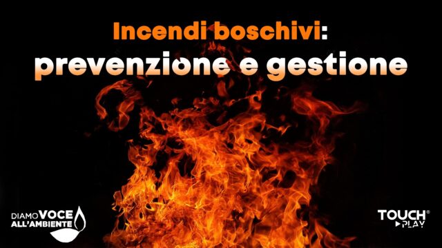 Incendi boschivi: prevenzione e gestione